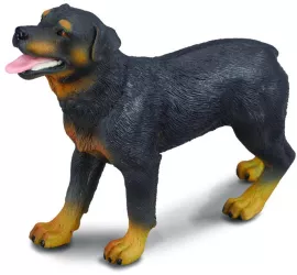 Rottweiler - collecta 