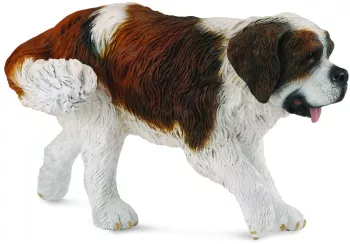 Saint bernard - collecta 