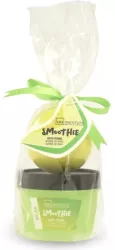 Set baie mini smoothie cu body scrub si bomba de baie cu aroma de pepene galben IDC Institute 98151 100 ml 