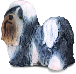Shih tzu - collecta 