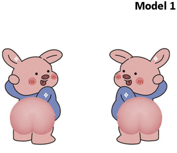 Set 2 abtibilde animate 3D cu rol de protectie a caroseriei 