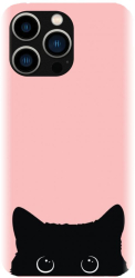Husa din silicon compatibila cu Apple iPhone 15 Pro - model Black Cat 