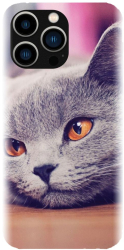 Husa din silicon compatibila cu Apple iPhone 15 Pro - model British Shorthair Cat 
