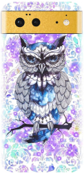 Husa din silicon compatibila cu Google Pixel 6 - model Abstract Owl 