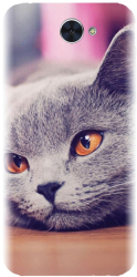 Husa din silicon compatibila cu Huawei Enjoy 7 Plus - model British Shorthair Cat 