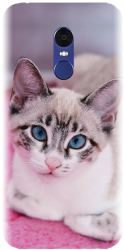Husa din silicon compatibila cu Xiaomi Redmi Note 4X - model Siamese Kitty 