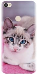Husa din silicon compatibila cu Xiaomi Redmi Note 5A Prime - model Siamese Kitty 