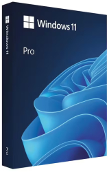 Stick USB Windows 11 Pro 
