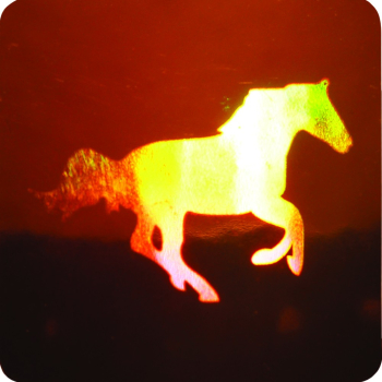 Holograme Cal 1000 bucati 