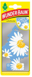 Odorizant auto Daisy Chain 