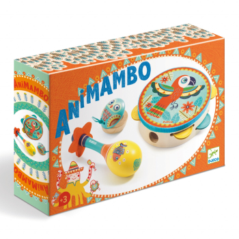Set instrumente muzicale Djeco 