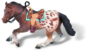 Cal Appaloosa 