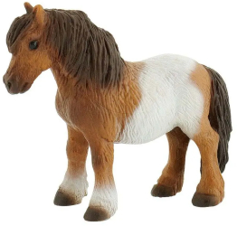 Ponei Shetland 