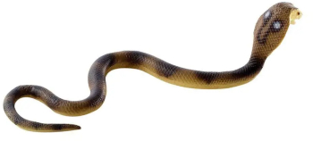 Sarpe Cobra 