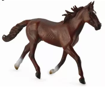 Armasar standardbred pacer castaniu 
