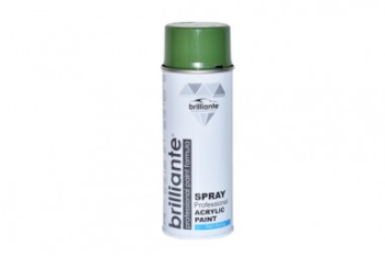 Vopsea spray Verde Reseda RAL 6011 400ml Verde 