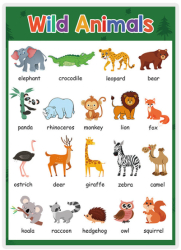 Plansa tematica Limba engleza Wild Animals pentru invatare vizuala gradinita gimnaziu 