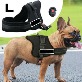 Ham pentru caini SENIOR DOG L 70 - 90cm 