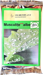 Insecticid Musculita alba Bio 