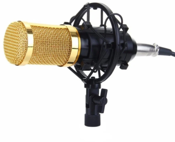 Microfon Profesional de Studio Condenser cu stand inclus pentru Inregistrare Vocala Streaming Gaming Karaoke Gold 