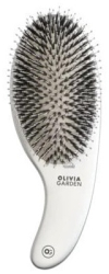 Perie profesionala de par cu peri de mistret si nailon Expert Care Curbat Silver Olivia Garden 