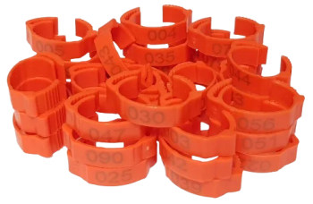 Set 100 de inele plastic 22mm marime mare ajustabile si numerotate pentru picioare pasari gaini curci 