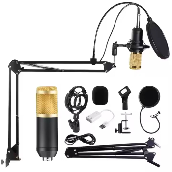 Microfon Condensator Profesional cu Suport Articulat Filtru Pop si Montura Shock &ndash Ideal pentru Gaming Podcasturi Streaming si Kara 
