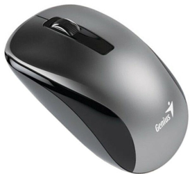 Mouse optic wireless Genius NX-7010 1200 dpi gri/negru 