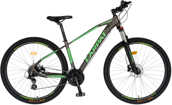 Bicicleta Hidraulica MTB-HT Carpat Wrangler C2959AH 29 Gri/Verde 