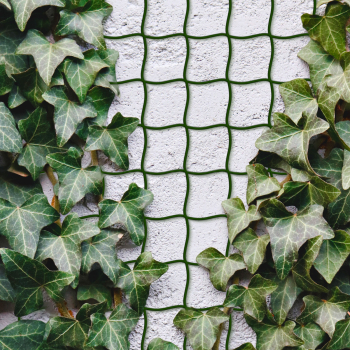 Plasa de catarare a plantelor - 5m x 50 cm - poate fi taiata - plastic - verde inchis 