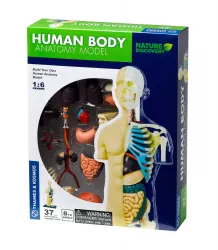 Kit STEM Anatomia corpului uman Thames & Kosmos 