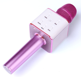Microfon Klausstech Karaoke Cu Bluetooth Tf Card Joc De Lumini 