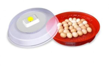 Incubator De Oua Cu Intoarcere Manuala KlaussTech 