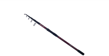 Lanseta crap din carbon Diamant alb Wild carp 4 Lbs -3.9 m 