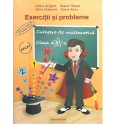 1000 Exercitii Si Probleme Clasa 3 