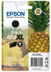 Castus cerneala Epson Pentru 604XL Negru 