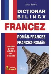 Dictionar Dublu Francez - Monica Vizonie 