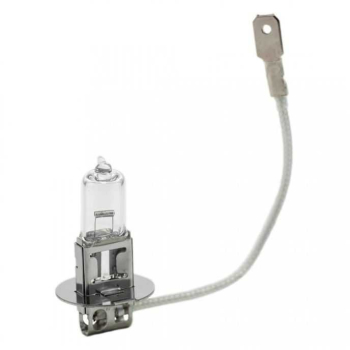 Bec halogen H3 12V 55W +30 intensitate CARGUARD BHA052 