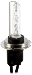 Bec Auto Xenon CARGUARD H7 6000K 