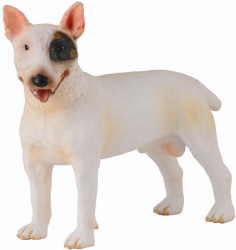 Caine bull terrier mascul - collecta 