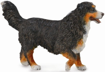 Figurina ciobanesc de bernese l collecta 