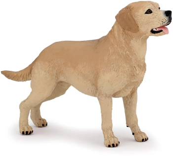 Papo Figurina Catel Labrador 