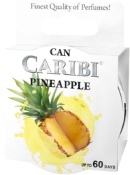 Odorizant auto conserva Caribi Can Ananas 