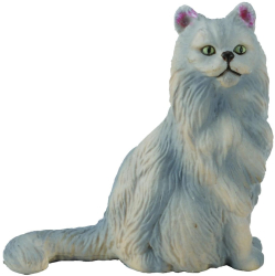 Pisica persana-sezand s collecta 