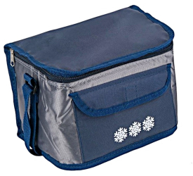 Geanta izotermica Aliamar CoolBag ACB-3521 25 x 18 x 16 cm 6 L Gri 
