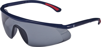 CERVA - Ochelari BARDEN UV fumurii 0501036406999 