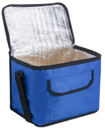 Geanta izotermica Aliamar CoolBag ACB-0554 31 x 24 x 20 cm Albastru 14 L 