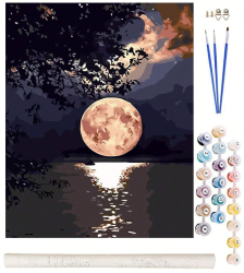Set pictura pe numere Zola pentru copii si adulti peisaj nocturn cu luna plina reflectata in apa accesorii incluse panza 40 x 50 cm 