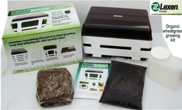 Kit complet pentru iarba de grau OBIO 