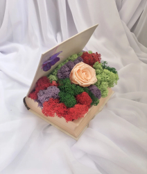 Aranjament floral personalizabil in carte cu licheni stabilizati si trandafir criogenat Eventissimi 